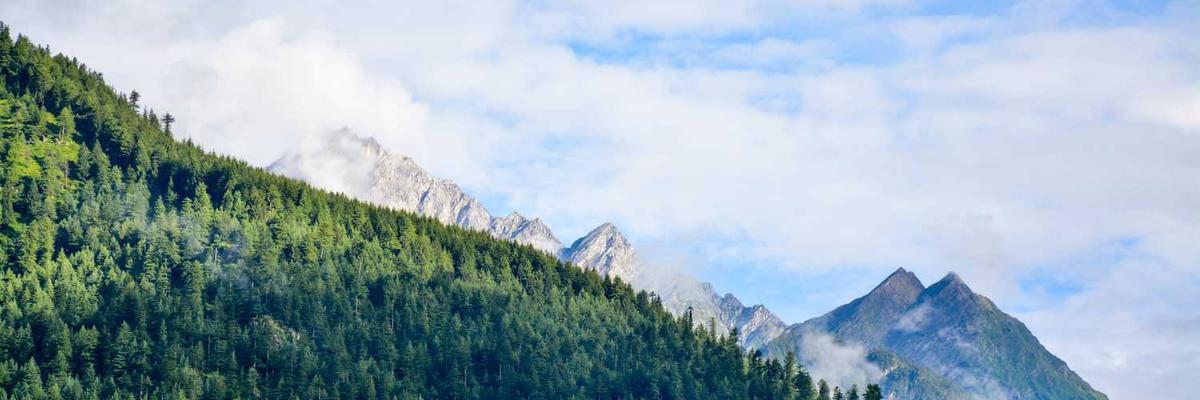 精选涩涩屋集